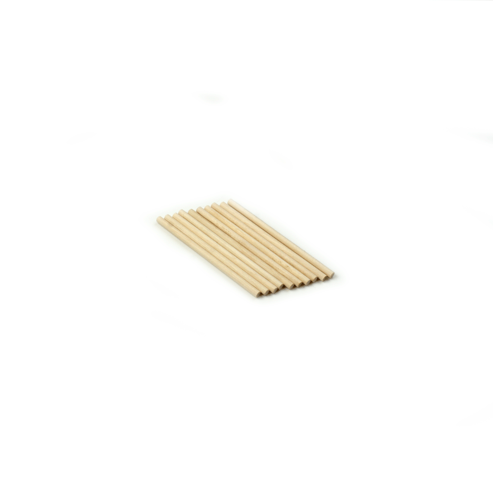 10 pcs Wooden Dowel