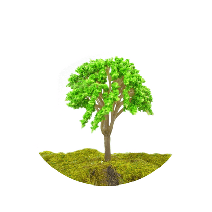 8cm 6cm 4cm Miniature Trees for DIY Miniatures, Architecture Models and Perfect for Diorama Projects