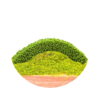 8cm 6cm 4cm Miniature Trees for DIY Miniatures, Architecture Models and Perfect for Diorama Projects