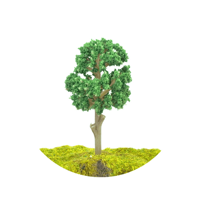8cm 6cm 4cm Miniature Trees for DIY Miniatures, Architecture Models and Perfect for Diorama Projects
