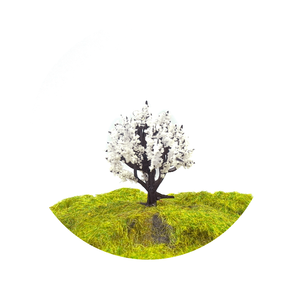 8cm 6cm 4cm Miniature Trees for DIY Miniatures, Architecture Models and Perfect for Diorama Projects